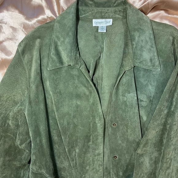Green Suede Coat - Picture 7 of 10